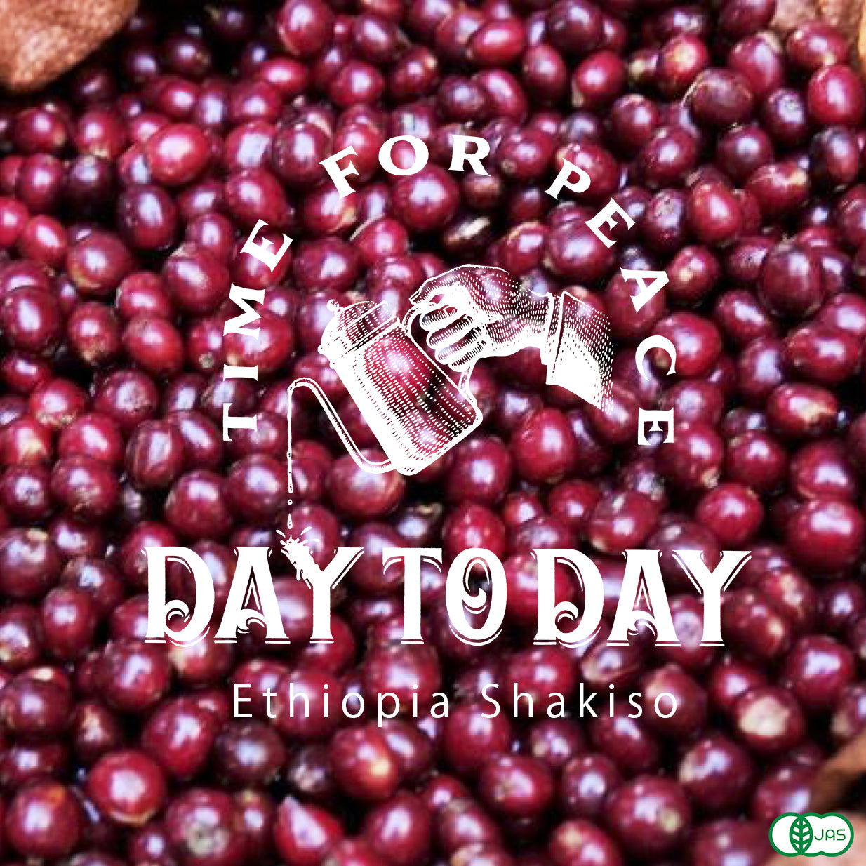 Ethiopia Shakiso エチオピアシャキソ ナチュラルプロセス 有機豆 150g